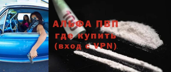 хмурый Алзамай
