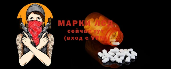 хмурый Алзамай