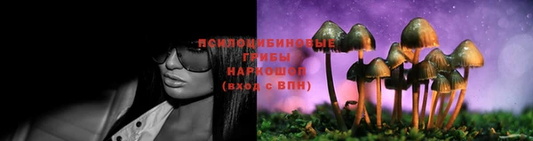 прущие грибы Алексин