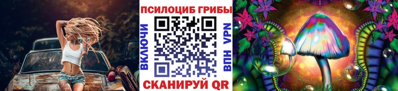 сайты даркнета какой сайт  Порхов  Псилоцибиновые грибы Psilocybine cubensis  где найти  